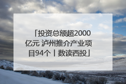 投资总额超2000亿元 泸州推介产业项目94个丨数读西投