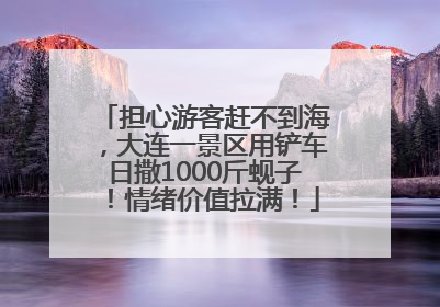 担心游客赶不到海，大连一景区用铲车日撒1000斤蚬子！情绪价值拉满！