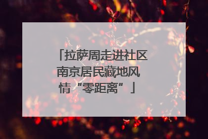 拉萨周走进社区 南京居民藏地风情“零距离”
