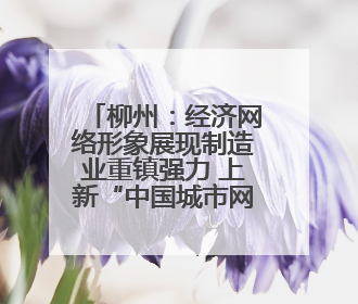 柳州：经济网络形象展现制造业重镇强力 上新“中国城市网络形象指数”报告