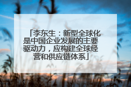 李东生：新型全球化是中国企业发展的主要驱动力，应构建全球经营和供应链体系
