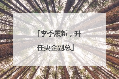 李季履新，升任央企副总