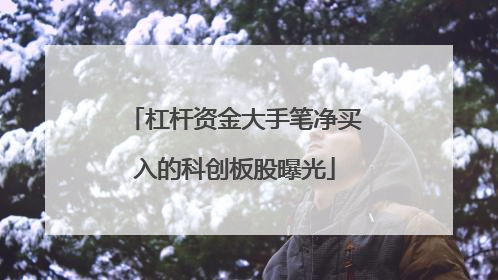 杠杆资金大手笔净买入的科创板股曝光
