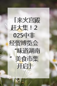 来火宫殿赶大集！2025中非经贸博览会“味道湖南”美食市集开启