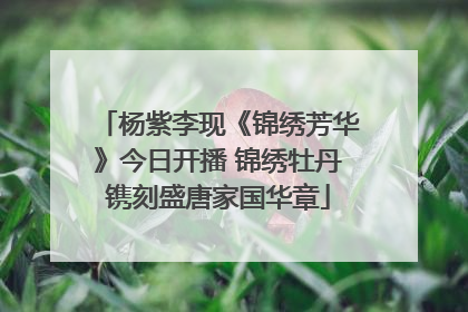 杨紫李现《锦绣芳华》今日开播 锦绣牡丹镌刻盛唐家国华章