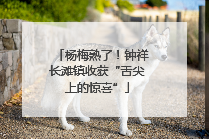 杨梅熟了！钟祥长滩镇收获“舌尖上的惊喜”
