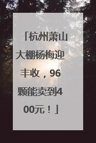 杭州萧山大棚杨梅迎丰收，96颗能卖到400元！