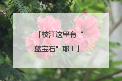 枝江这里有“蓝宝石”耶！