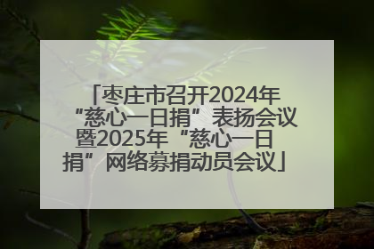 枣庄市召开2024年“慈心一日捐”表扬会议暨2025年“慈心一日捐”网络募捐动员会议