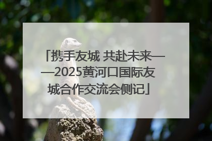 携手友城 共赴未来——2025黄河口国际友城合作交流会侧记