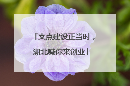 支点建设正当时，湖北喊你来创业