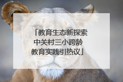 教育生态新探索 中关村三小跨龄教育实践引热议