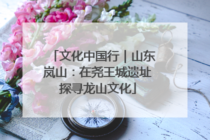 文化中国行｜山东岚山：在尧王城遗址探寻龙山文化