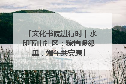 文化书院进行时｜水印蓝山社区：粽情暖邻里，端午共安康