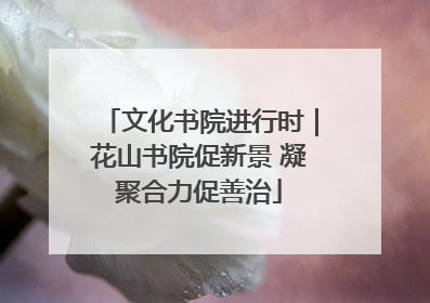 文化书院进行时｜花山书院促新景 凝聚合力促善治