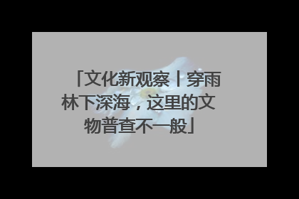 文化新观察丨穿雨林下深海，这里的文物普查不一般