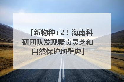 新物种+2！海南科研团队发现素贞灵芝和自然保护地壁虎