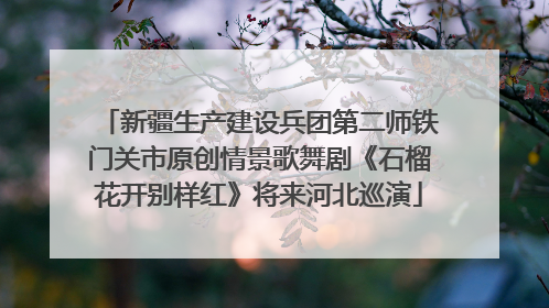 新疆生产建设兵团第二师铁门关市原创情景歌舞剧《石榴花开别样红》将来河北巡演