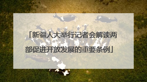 新疆人大举行记者会解读两部促进开放发展的重要条例