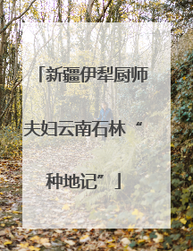 新疆伊犁厨师夫妇云南石林“种地记”