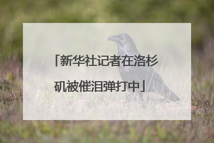新华社记者在洛杉矶被催泪弹打中