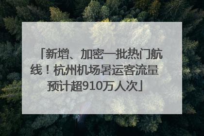 新增、加密一批热门航线！杭州机场暑运客流量预计超910万人次