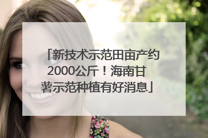 新技术示范田亩产约2000公斤！海南甘薯示范种植有好消息