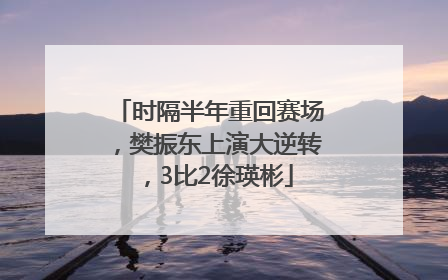 时隔半年重回赛场，樊振东上演大逆转，3比2徐瑛彬
