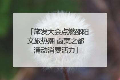 旅发大会点燃邵阳文旅热潮 卤菜之都涌动消费活力