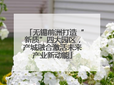 无锡前洲打造“新质”四大园区，产城融合激活未来产业新动能