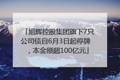 旭辉控股集团旗下7只公司债自6月3日起停牌，本金额超100亿元