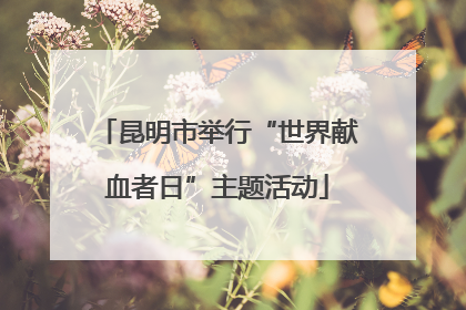昆明市举行“世界献血者日”主题活动