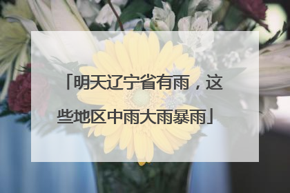 明天辽宁省有雨，这些地区中雨大雨暴雨