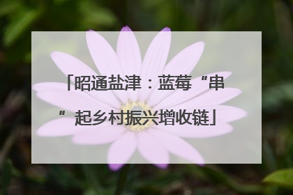昭通盐津：蓝莓“串”起乡村振兴增收链