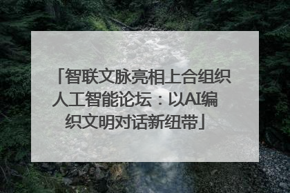 智联文脉亮相上合组织人工智能论坛：以AI编织文明对话新纽带
