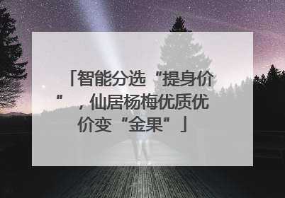 智能分选“提身价”，仙居杨梅优质优价变“金果”