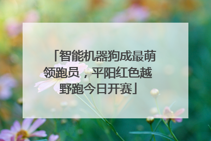 智能机器狗成最萌领跑员，平阳红色越野跑今日开赛