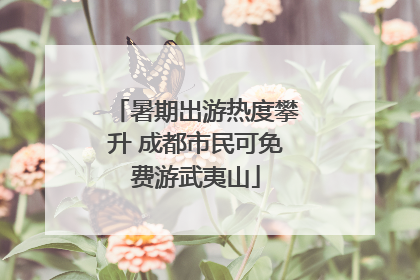 暑期出游热度攀升 成都市民可免费游武夷山