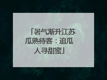 暑气渐升江苏瓜熟待客：追瓜人寻甜蜜