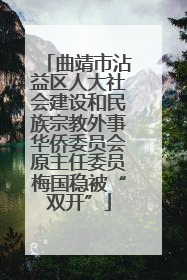 曲靖市沾益区人大社会建设和民族宗教外事华侨委员会原主任委员梅国稳被“双开”