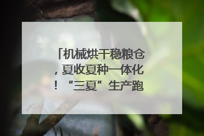 机械烘干稳粮仓，夏收夏种一体化！“三夏”生产跑出加速度｜麦报
