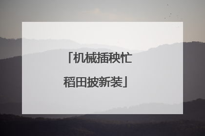 机械插秧忙 稻田披新装