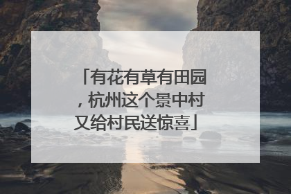 有花有草有田园，杭州这个景中村又给村民送惊喜