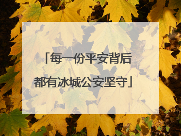 每一份平安背后 都有冰城公安坚守