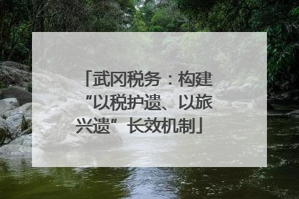 武冈税务：构建“以税护遗、以旅兴遗”长效机制