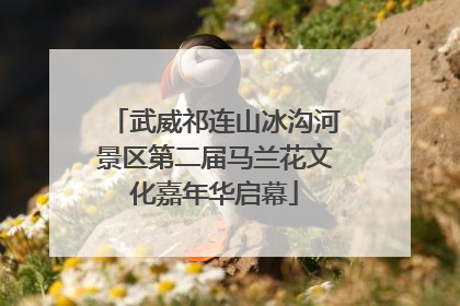 武威祁连山冰沟河景区第二届马兰花文化嘉年华启幕
