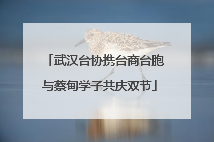 武汉台协携台商台胞与蔡甸学子共庆双节