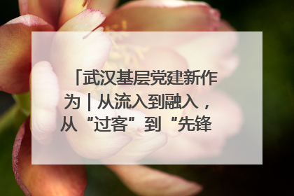 武汉基层党建新作为｜从流入到融入，从“过客”到“先锋” 武汉为流动党员筑起温暖之家