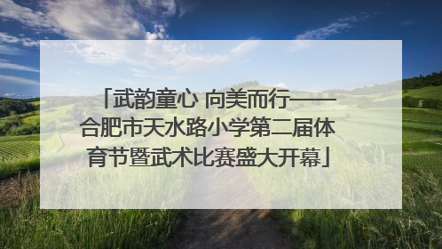 武韵童心 向美而行——合肥市天水路小学第二届体育节暨武术比赛盛大开幕