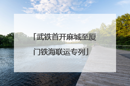 武铁首开麻城至厦门铁海联运专列